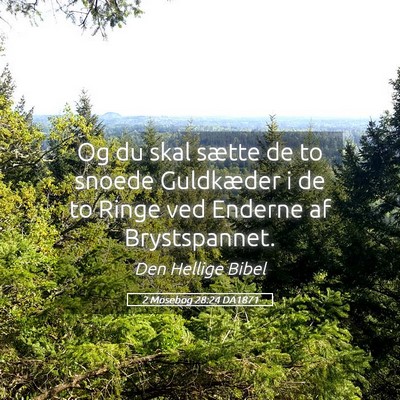 Picture 05 - 2 Mosebog 28:24 DA1871 - Og du skal sætte de to snoede Guldkæder i de to - Bible Verse Picture