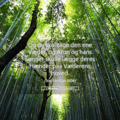 Picture 05 - 2 Mosebog 29:15 DA1871 - Og du skal tage den ene Væder, og Aron og hans - Bible Verse Picture