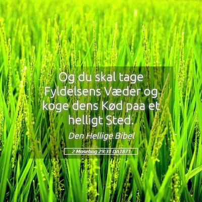 Picture 05 - 2 Mosebog 29:31 DA1871 - Og du skal tage Fyldelsens Væder og koge dens - Bible Verse Picture