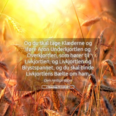 Picture 05 - 2 Mosebog 29:5 DA1871 - Og du skal tage Klæderne og iføre Aron - Bible Verse Picture