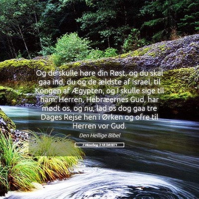 Picture 05 - 2 Mosebog 3:18 DA1871 - Og de skulle høre din Røst, og du skal gaa ind, - Bible Verse Picture