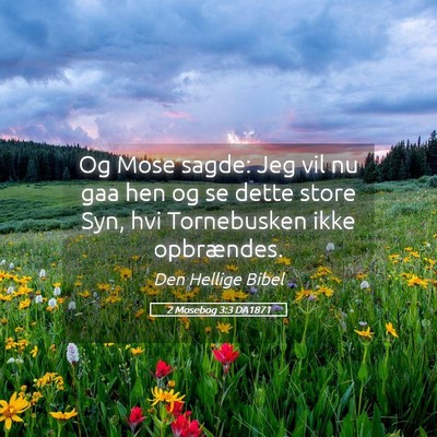 Picture 05 - 2 Mosebog 3:3 DA1871 - Og Mose sagde: Jeg vil nu gaa hen og se dette - Bible Verse Picture