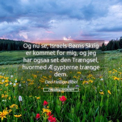 Picture 05 - 2 Mosebog 3:9 DA1871 - Og nu se, Israels Børns Skrig er kommet for mig, - Bible Verse Picture