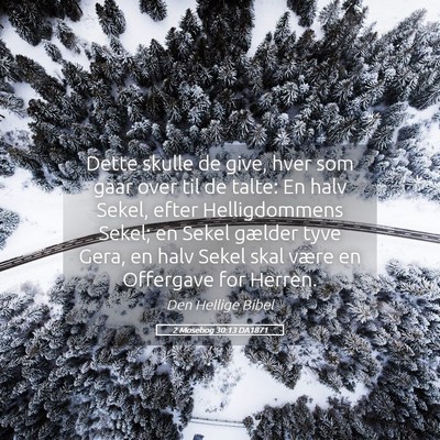 Picture 05 - 2 Mosebog 30:13 DA1871 - Dette skulle de give, hver som gaar over til de - Bible Verse Picture