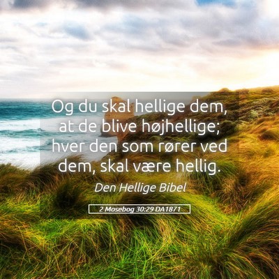 Picture 05 - 2 Mosebog 30:29 DA1871 - Og du skal hellige dem, at de blive højhellige; - Bible Verse Picture