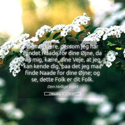 Picture 05 - 2 Mosebog 33:13 DA1871 - Og nu, kære, dersom jeg har fundet Naade for - Bible Verse Picture