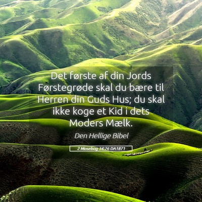 Picture 05 - 2 Mosebog 34:26 DA1871 - Det første af din Jords Førstegrøde skal du - Bible Verse Picture