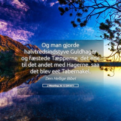 Picture 05 - 2 Mosebog 36:13 DA1871 - Og man gjorde halvtredsindstyve Guldhager og - Bible Verse Picture