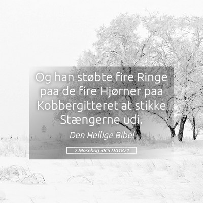 Picture 05 - 2 Mosebog 38:5 DA1871 - Og han støbte fire Ringe paa de fire Hjørner - Bible Verse Picture