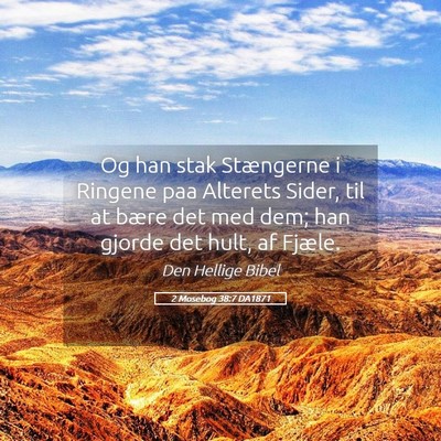Picture 05 - 2 Mosebog 38:7 DA1871 - Og han stak Stængerne i Ringene paa Alterets - Bible Verse Picture