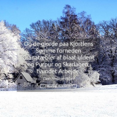 Picture 05 - 2 Mosebog 39:24 DA1871 - Og de gjorde paa Kjortlens Sømme forneden - Bible Verse Picture