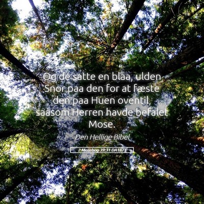 Picture 05 - 2 Mosebog 39:31 DA1871 - Og de satte en blaa, ulden Snor paa den for at - Bible Verse Picture