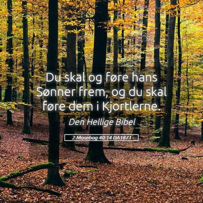 Picture 05 - 2 Mosebog 40:14 DA1871 - Du skal og føre hans Sønner frem, og du skal - Bible Verse Picture
