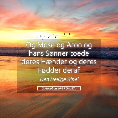 Picture 05 - 2 Mosebog 40:31 DA1871 - Og Mose og Aron og hans Sønner toede deres - Bible Verse Picture