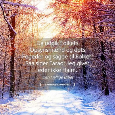 Picture 05 - 2 Mosebog 5:10 DA1871 - Da udgik Folkets Opsynsmænd og dets Fogeder og - Bible Verse Picture
