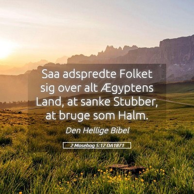 Picture 05 - 2 Mosebog 5:12 DA1871 - Saa adspredte Folket sig over alt Ægyptens Land, - Bible Verse Picture