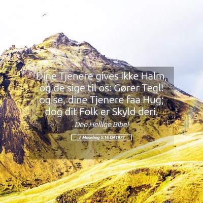 Picture 05 - 2 Mosebog 5:16 DA1871 - Dine Tjenere gives ikke Halm, og de sige til os: - Bible Verse Picture