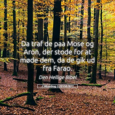Picture 05 - 2 Mosebog 5:20 DA1871 - Da traf de paa Mose og Aron, der stode for at - Bible Verse Picture