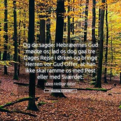 Picture 05 - 2 Mosebog 5:3 DA1871 - Og de sagde: Hebræernes Gud mødte os; lad os - Bible Verse Picture