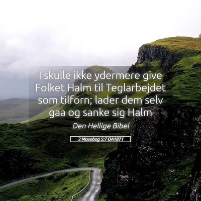Picture 05 - 2 Mosebog 5:7 DA1871 - I skulle ikke ydermere give Folket Halm til - Bible Verse Picture