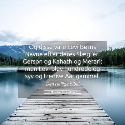 Picture 05 - 2 Mosebog 6:16 DA1871 - Og disse vare Levi Børns Navne efter deres - Bible Verse Picture