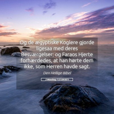 Picture 05 - 2 Mosebog 7:22 DA1871 - Og de ægyptiske Koglere gjorde ligesaa med deres - Bible Verse Picture