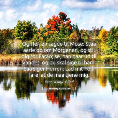 Picture 05 - 2 Mosebog 8:20 DA1871 - Og Herren sagde til Mose: Staa aarle op om - Bible Verse Picture