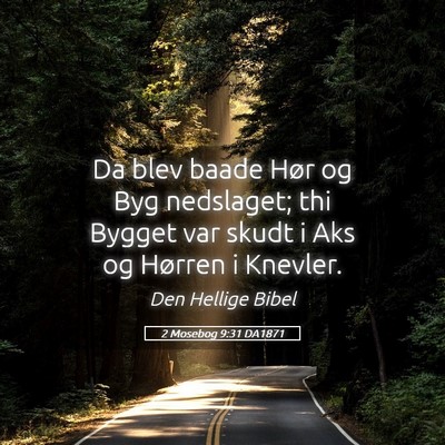 Picture 05 - 2 Mosebog 9:31 DA1871 - Da blev baade Hør og Byg nedslaget; thi Bygget - Bible Verse Picture