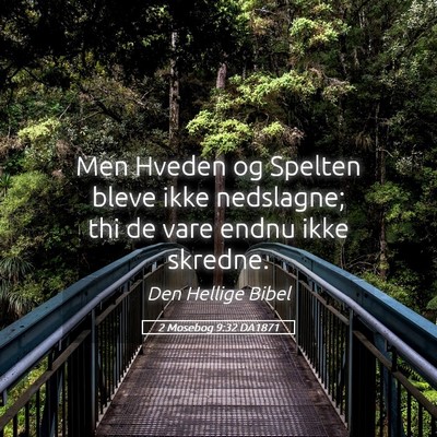Picture 05 - 2 Mosebog 9:32 DA1871 - Men Hveden og Spelten bleve ikke nedslagne; thi - Bible Verse Picture