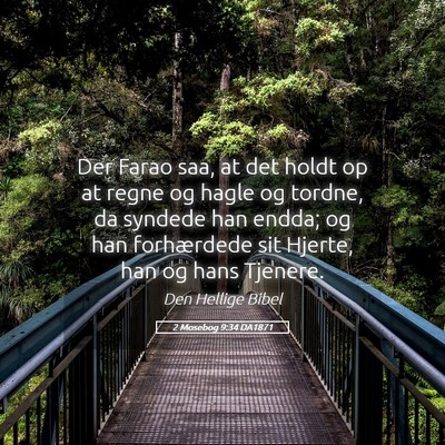 Picture 05 - 2 Mosebog 9:34 DA1871 - Der Farao saa, at det holdt op at regne og hagle - Bible Verse Picture