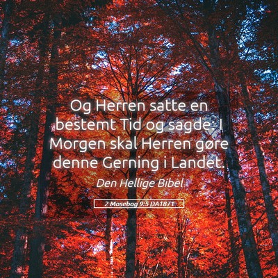Picture 05 - 2 Mosebog 9:5 DA1871 - Og Herren satte en bestemt Tid og sagde: I Morgen - Bible Verse Picture