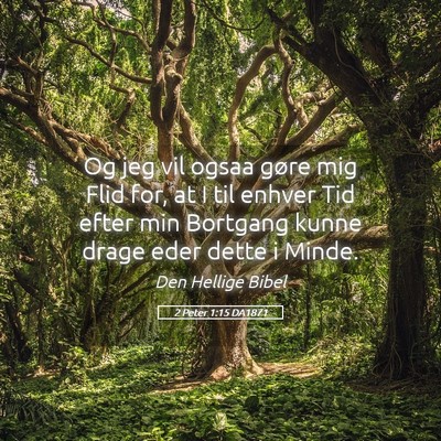Picture 05 - 2 Peter 1:15 DA1871 - Og jeg vil ogsaa gøre mig Flid for, at I til - Bible Verse Picture
