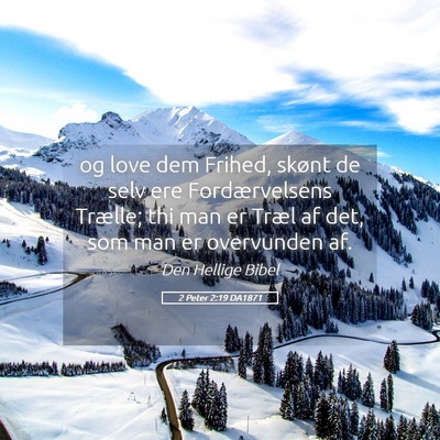 Picture 05 - 2 Peter 2:19 DA1871 - og love dem Frihed, skønt de selv ere - Bible Verse Picture