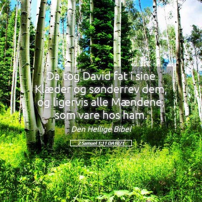 Picture 05 - 2 Samuel 1:11 DA1871 - Da tog David fat i sine Klæder og sønderrev - Bible Verse Picture