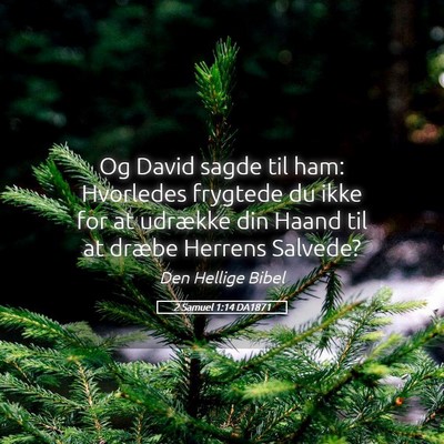 Picture 05 - 2 Samuel 1:14 DA1871 - Og David sagde til ham: Hvorledes frygtede du - Bible Verse Picture
