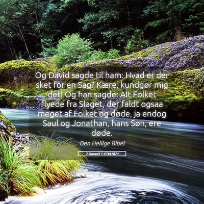 Picture 05 - 2 Samuel 1:4 DA1871 - Og David sagde til ham: Hvad er der sket for en - Bible Verse Picture