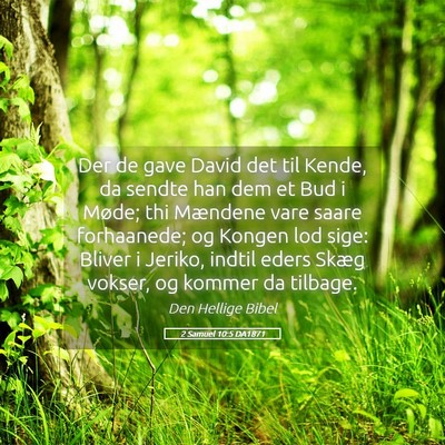 Picture 05 - 2 Samuel 10:5 DA1871 - Der de gave David det til Kende, da sendte han - Bible Verse Picture