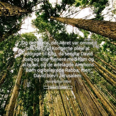 Picture 05 - 2 Samuel 11:1 DA1871 - Og det skete, der Aaret var omme, paa den Tid - Bible Verse Picture