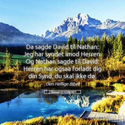 Picture 05 - 2 Samuel 12:13 DA1871 - Da sagde David til Nathan: Jeg har syndet imod - Bible Verse Picture