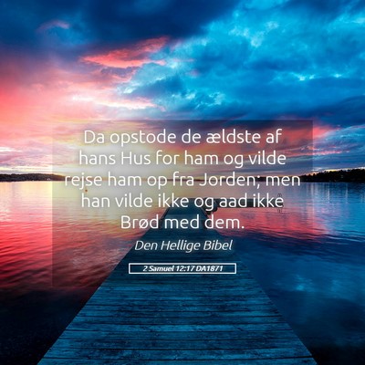 Picture 05 - 2 Samuel 12:17 DA1871 - Da opstode de ældste af hans Hus for ham og - Bible Verse Picture