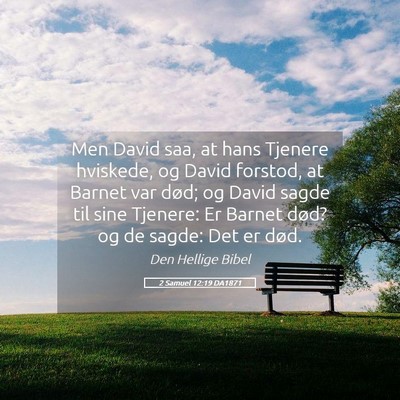 Picture 05 - 2 Samuel 12:19 DA1871 - Men David saa, at hans Tjenere hviskede, og David - Bible Verse Picture