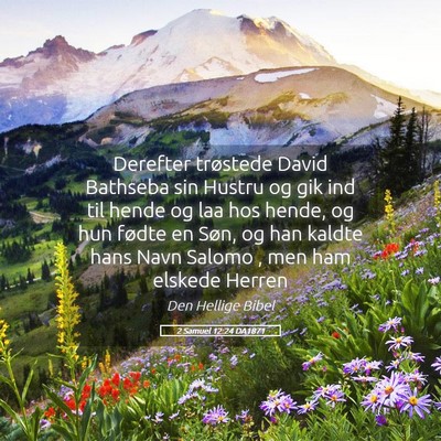 Picture 05 - 2 Samuel 12:24 DA1871 - Derefter trøstede David Bathseba sin Hustru og - Bible Verse Picture