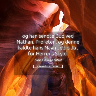 Picture 05 - 2 Samuel 12:25 DA1871 - og han sendte Bud ved Nathan, Profeten, og denne - Bible Verse Picture