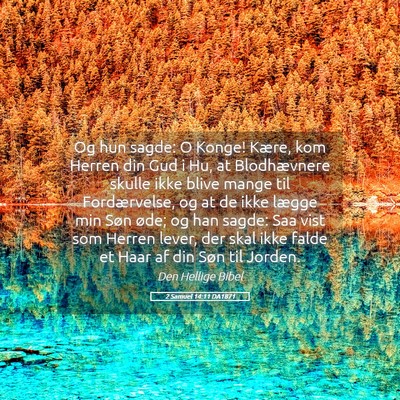 Picture 05 - 2 Samuel 14:11 DA1871 - Og hun sagde: O Konge! Kære, kom Herren din Gud - Bible Verse Picture