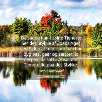 Picture 05 - 2 Samuel 14:30 DA1871 - Da sagde han til sine Tjenere: Ser det Stykke af - Bible Verse Picture