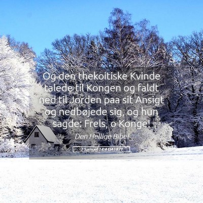 Picture 05 - 2 Samuel 14:4 DA1871 - Og den thekoitiske Kvinde talede til Kongen og - Bible Verse Picture