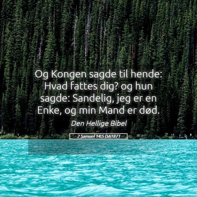 Picture 05 - 2 Samuel 14:5 DA1871 - Og Kongen sagde til hende: Hvad fattes dig? og - Bible Verse Picture
