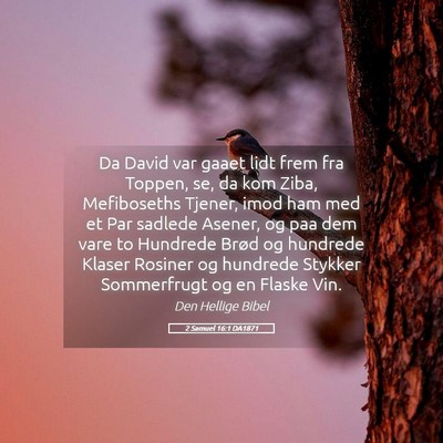 Picture 05 - 2 Samuel 16:1 DA1871 - Da David var gaaet lidt frem fra Toppen, se, da - Bible Verse Picture