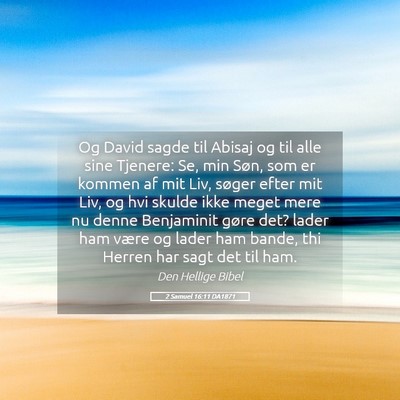 Picture 05 - 2 Samuel 16:11 DA1871 - Og David sagde til Abisaj og til alle sine - Bible Verse Picture
