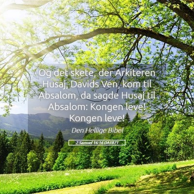 Picture 05 - 2 Samuel 16:16 DA1871 - Og det skete, der Arkiteren Husaj, Davids Ven, - Bible Verse Picture